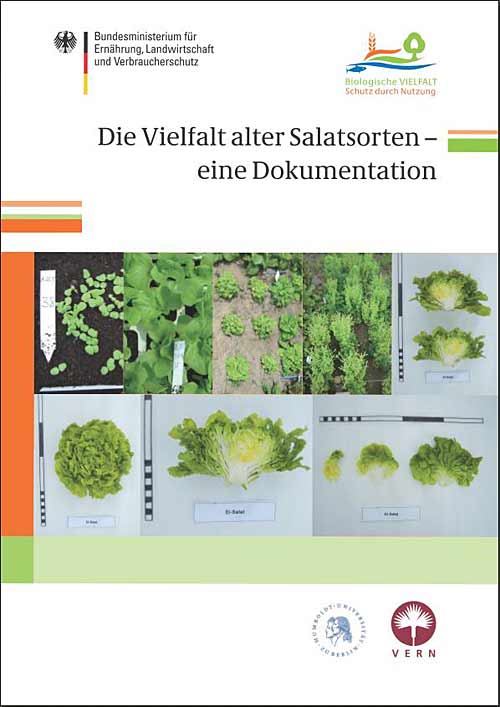 110721_Salatsorten