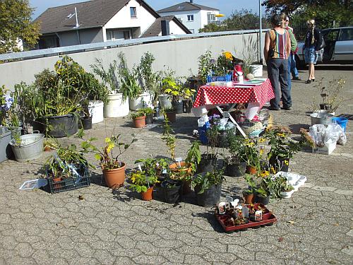 Bergische Gartenarche